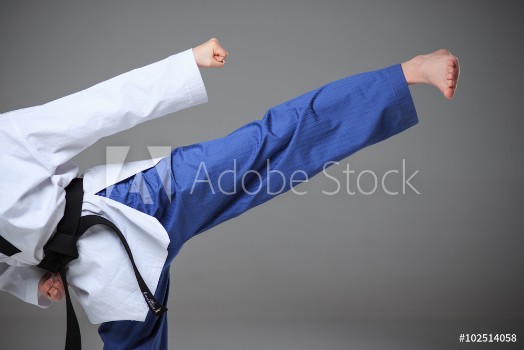 Bild på The karate girl with black belt 